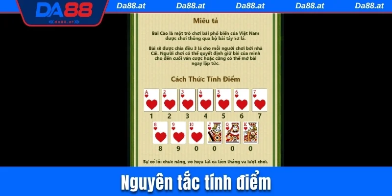 Nguyên tắc tính điểm